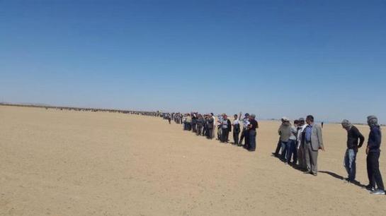 A demonstration forming a human chain around Kobani against the Islamic State.